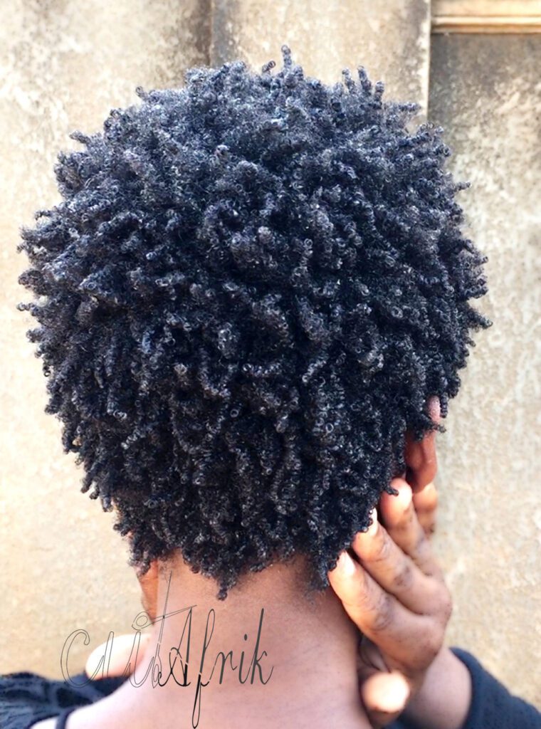 Ebony Afro Hair