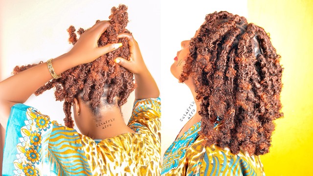 How to Do Butterfly Distressed Locs - Simple and Fast