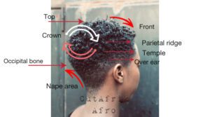 A Profile Guide On How To Cut Afro Hair