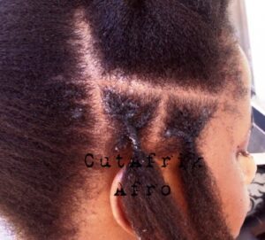 Sectioned Hair For Butterfly Locs