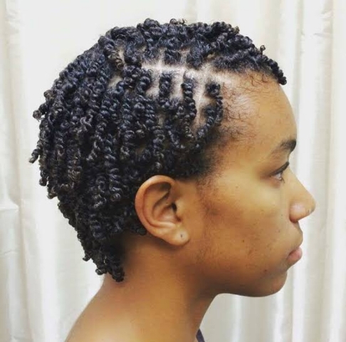 Mini Twists on Tapered Natural Hair