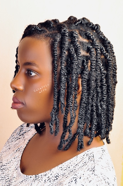 All About Mini Twists, How To Do With and Without Extensions