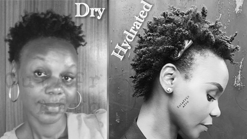 Dry Hair Versus Hydrated Hair