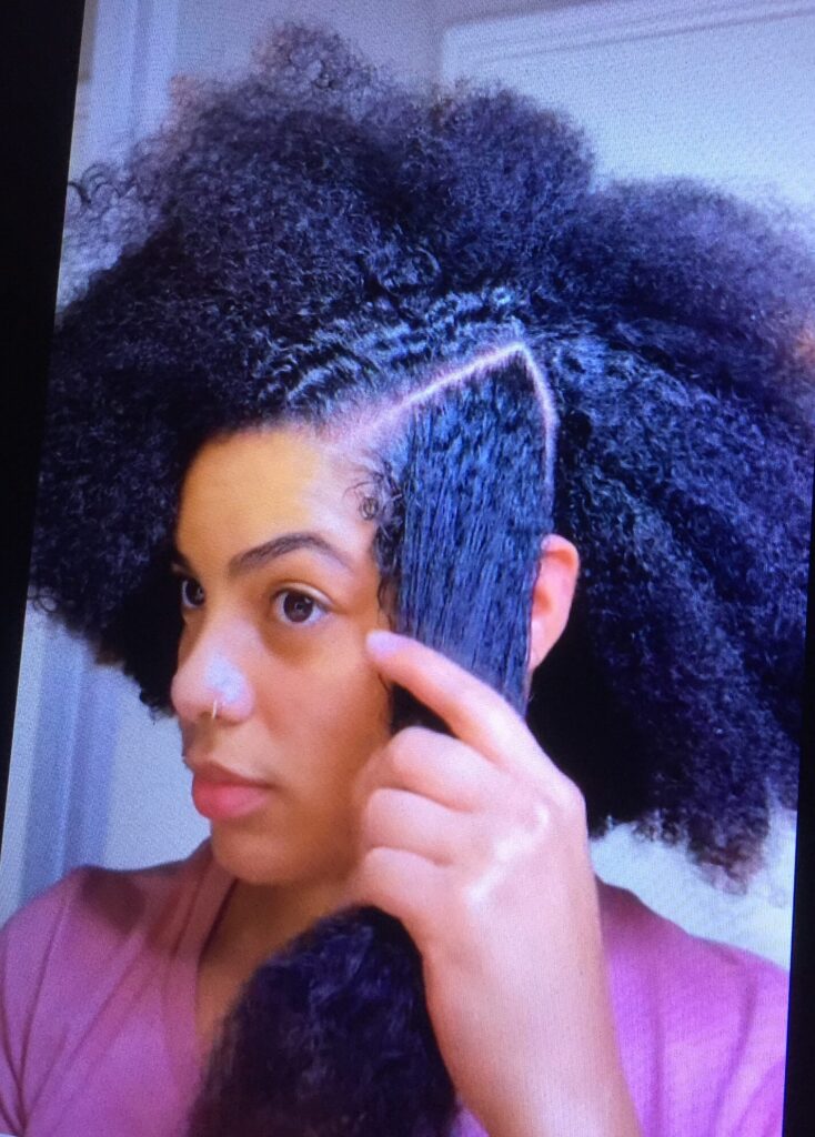 Braids & Twists Mullet