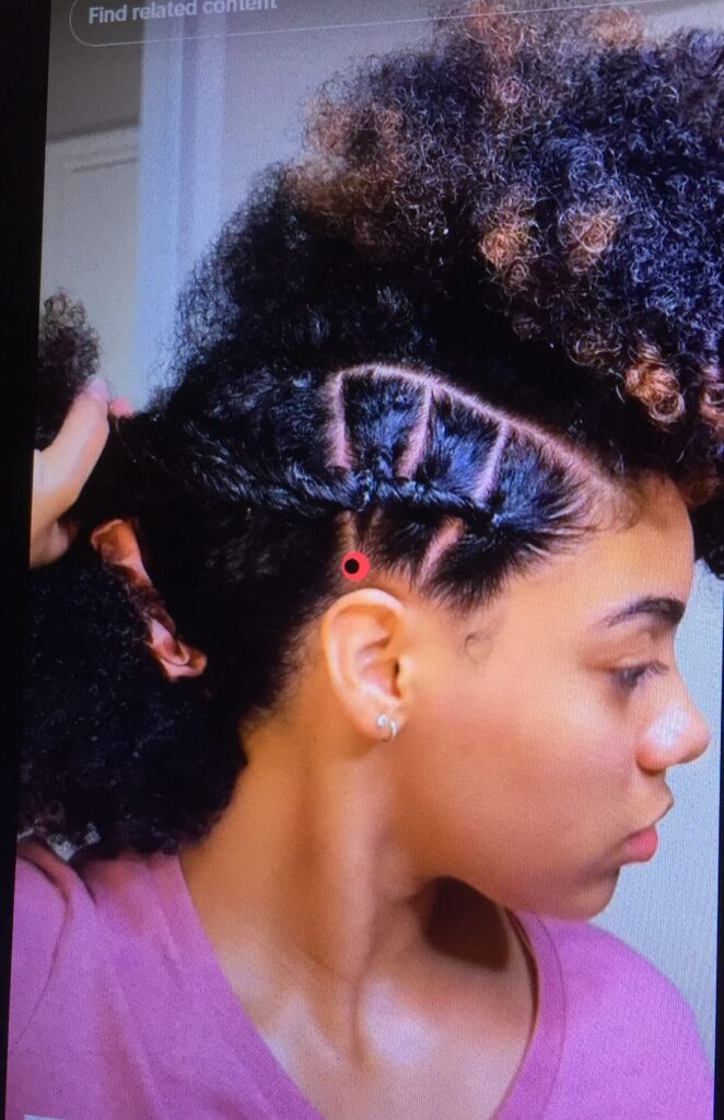 Braids & Twists Mullet